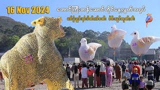 16 .11.2024 တောင်ကြီးတန်ဆောင်တိုင်နေ့လွတ်အရုပ် ပၢင်ပွႆးႁူင်းၾႆးမိၼ် ဝဵင်းလူင်တူၼ်ႈတီး ၵၢင်ဝၼ်း