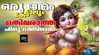 ഈ ഗാനത്തിലൂടെ ഭഗവാനെ ഞാൻ കണ്ടു | Sree Krishnan Devotional Songs | Guruvayurappa songs