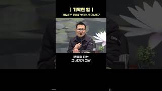 지금 발 딛고 사는 세상이, 그토록 찾았던 그 세상 | 월인선원 #우두법융심명4