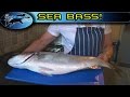 How to cook Sea Bass | TAFishing