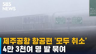 제주공항 항공편 '모두 취소'…4만 3천여 명 발 묶여 / SBS