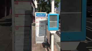 2024-06-19 捷運忠孝敦化站 x 太陽能/電子紙 公車站牌 x 首都客運 204