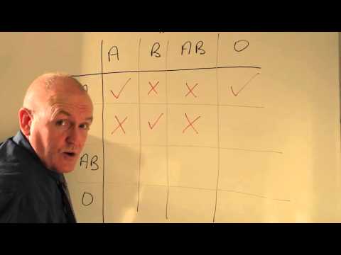 What blood type does A+ and O+ Make?