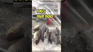 அமெரிக்காவில் கிழங்கா மீன் Whiting Fish Kilanga Meen #shorts