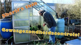 Sherif's Tuin: routinematige gezondheidscontrole van gewassen