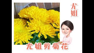 尤姐話你知【如何選擇菊花沖涼】#白事 #殯儀 #燒衣 #冤親債主 #家庭排列系統 (請打開youtube字幕)