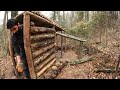 Building a BUSHCRAFT LOG CABIN for 3 Days SURVIVAL in the WILD. Wood Shelter CAMPING. Cooking