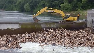 BEST BEAVER DAM REMOVAL EVER! | Best Compilation 2025