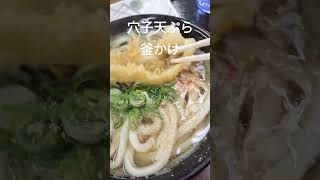 巨大【穴子天ぷら】【釜かけ】讃岐うどんは美味しかった【なりや】#うどん県 #short