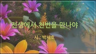 ♣  영상시  ♣   ◈  전생에서 천번을 만나야  ◈