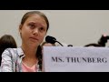Greta Thunberg ‘disgraced herself’ over pro-Palestine protest