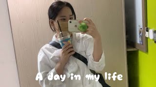 영양사현장실습VLOG