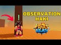 How To Get Observation Haki in Fruit Seas | Fruit Seas Observation Haki