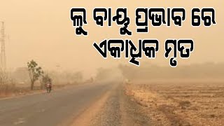 ଲୁ ଯୋଗୁଁ ଦେଶରେ ଦୁଇଶହରୁ ଅଧିକ ଲୋକ ପ୍ରାଣ ହରାଇଛନ୍ତି#pratidinaodisha