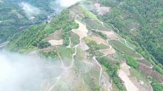 #南山寺茶園風光#空拍攝影南山寺茶園風光 #4K影片