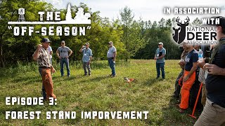 The Off-Season | S2 : E3 | Forest Stand Improvement