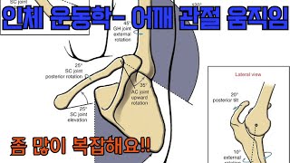 중요한데 어려운 어깨 인체 운동학 (kinesiology) 이해 시켜드립니다!