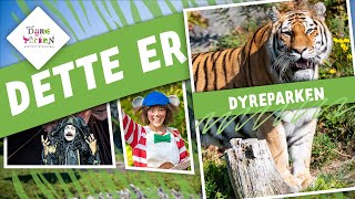 Dette er Dyreparken! - Se høydepunkter fra Dyreparken