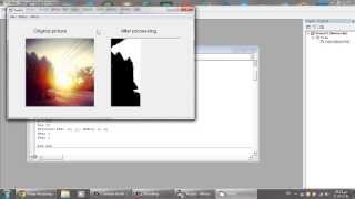 Visual Basic 2006 - Binary filter on picture