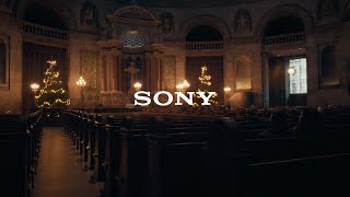 COPENAGHEN - SONY FX30 | Sony FE 24-70 f/2.8 | 4K Cinematic Video