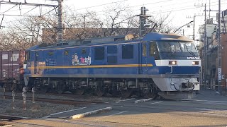 【豪快なジョイント音！】JR貨物 EF210-348号機+コキ20B 新A205仕業[77レ] 隅田川行 小田第三踏切通過！[2024.01.05(金)]