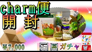 【チャーム便開封】石と苔ガチャ・今後トキワｃｈで取り組む新ジャンル！（カミハタ青華石・おまかせゴケの中身は？）