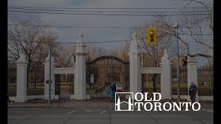 The Connection between Trinity Bellwoods Park and NYC's Central Park