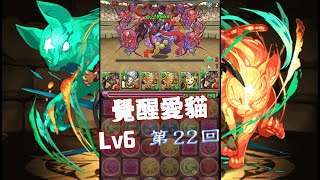 [ PAD (パズドラ) ] 覺醒愛貓 (覚醒バステト) vs チャレンジダンジョン！ (第22回) Lv6 By斷魂乂碎心