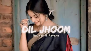 Dil Jhoom :|| Ali Zafar || {slowed+Reverd} Hindi || lo-fi Hindi song