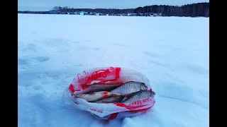 рыбалка 08.01.25 Белоярское водохранилище, Лодочная