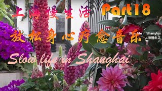 上海慢生活，放松身心疗愈音乐，Part18,Slow life in Shanghai,wonderful relaxing music,sleep music，beautiful flowers