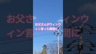 噂の山梨県某所にて未確認飛行物体？！#UFO #山梨県 #都市伝説 #松尾芭蕉ゆかりの場所