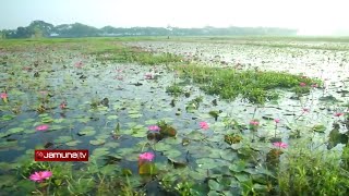 অনিন্দ্য সুন্দর বিলে সহজ নির্মল জীবনধারা | Beautiful Bangladesh