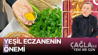 Zerdeçalın İçerdiği Kurkumin Neden Çok Gerekli? - Çağla ile Yeni Bir Gün 1365. Bölüm