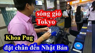 Sóng gió Tokyo - Khoa Pug xách ba lô qua Nhật Bản bay ngay 55 triệu - Intercontinental Tokyo Bay