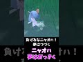 ニャオハ、チャンピオンを目指す！ライバル編【ポケモンsv】　 shorts