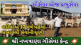 ગૌસેવા એજ પ્રભુસેવા🌳વડીલોએ 37 વર્ષ પહેલાં ધખાવેલી સેવાની ધૂણી 🚩શ્રી નખત્રાણા ગૌસેવા કેન્દ્ર