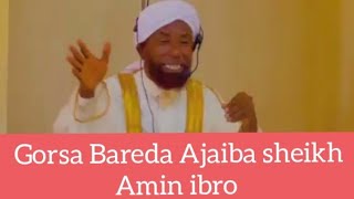 Gorsa Bareda Ajaiba sheikh Amin ibro September 21, 2024