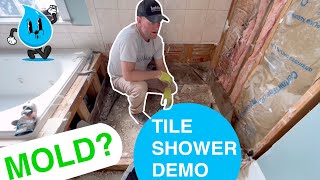 The Ugly Truth About Water Damage: Tile Shower Demo Revealed!