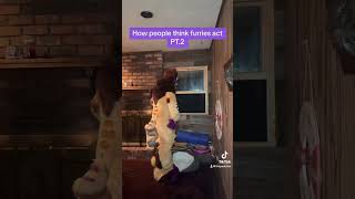 How people think furries act PT.2 #furry #fursuit #cosplay #costume