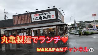 丸亀製麺田辺店でうどんランチ❤️WAKAPANチャンネル🐼