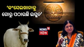 BJP's Maneka Gandhi says 'ISKCON biggest cheat, sells cows to butchers' | Odia News