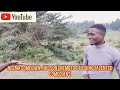 THE UNKNOWN LANGUAGE , neema comedian, hudson chemoto and young talented comedians