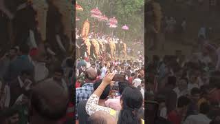 Arattupuzha Pooram elephant attack