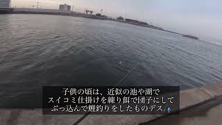 河口でまさかの魚が！？（南白亀川河口、5月下旬）