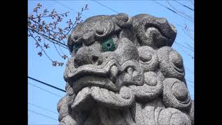 NO.284 長野・愛知・静岡・岐阜　狛犬・神社探訪「更級神明大神社（長野市）」