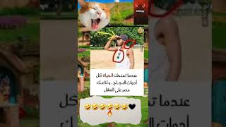 عندما تمنحك الحياة كل أدوات النجاح..#ضحك #مضحك #فولو #لايك #لايك_اشتراك #يوتيوب