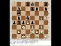 Ippolit 0.080a vs Stockfish 230407 | GrandWonders Chess R10, 230409 Philippines