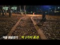 겨울 맨발걷기 핵심효과 딱 2가지