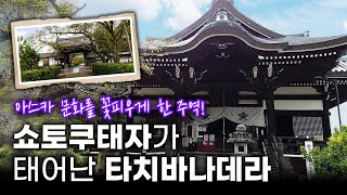 쇼토쿠 태자가 태어난 곳, 타치바나데라(橘寺)ㅣ소가노 우마코로부터 벗어나고 싶어했던 곳ㅣ절들이 밀집했던 아스카시대의 다운타운ㅣ042